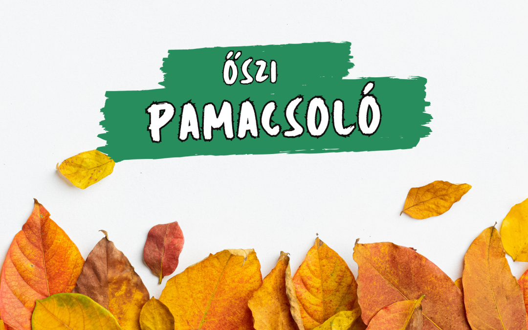 Ősi Pamacsoló – 2024.10.10. és 11. 10:00-11:00